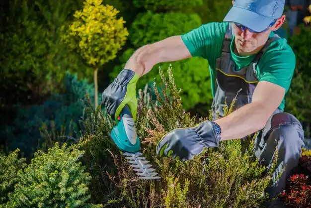 landscaping services East Norwich